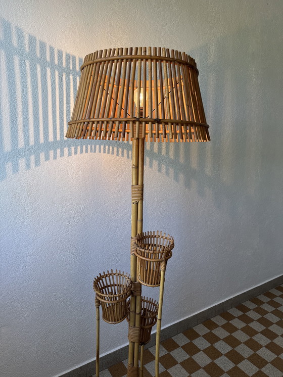 Image 1 of Lámpara de pie con soporte para plantas de ratán de los años 50