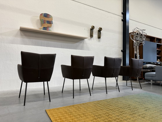 Image 1 of 4 Design on Stock Sedie da pranzo Moka in pelle Cabo Marron