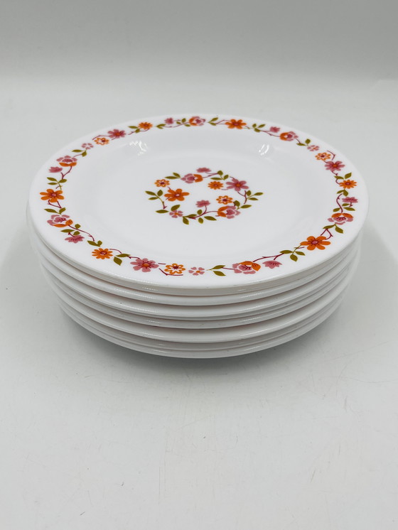 Image 1 of Juego de 10 platos de postre Scania