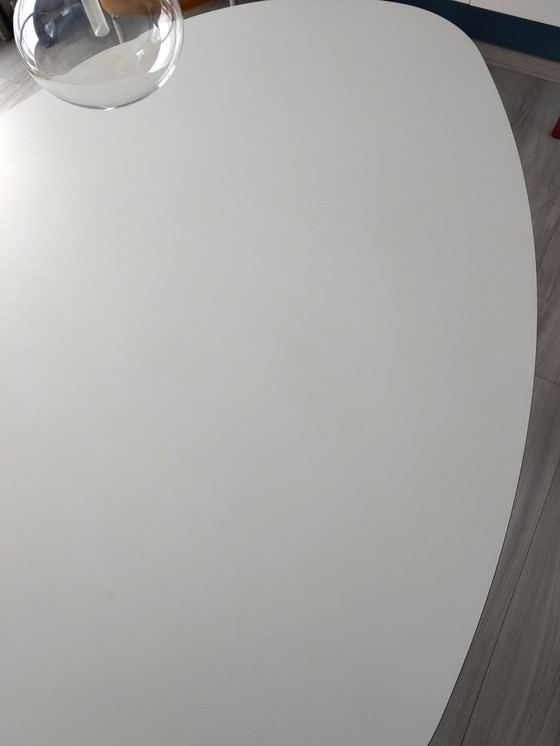 Image 1 of Tavolo con anelli elastici di Castelijn