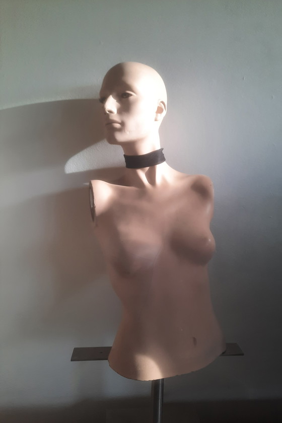 Image 1 of Torso di manichino femminile Lupo e Vine Greneker 