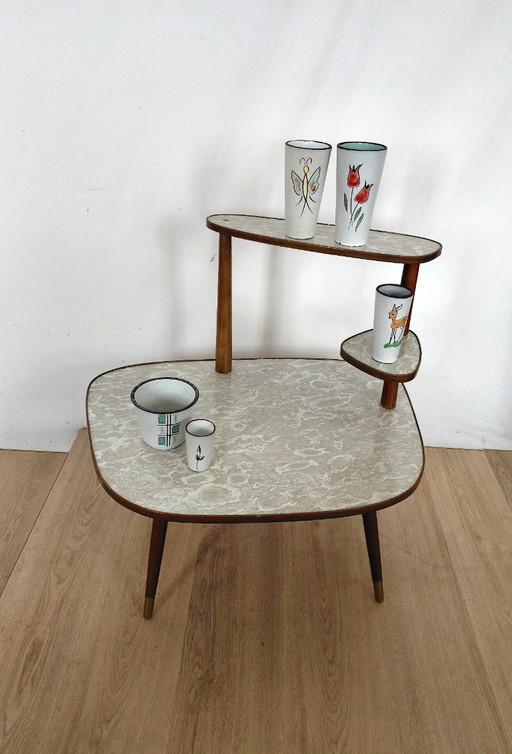 Großer Pflanzentisch aus den 1950er Jahren