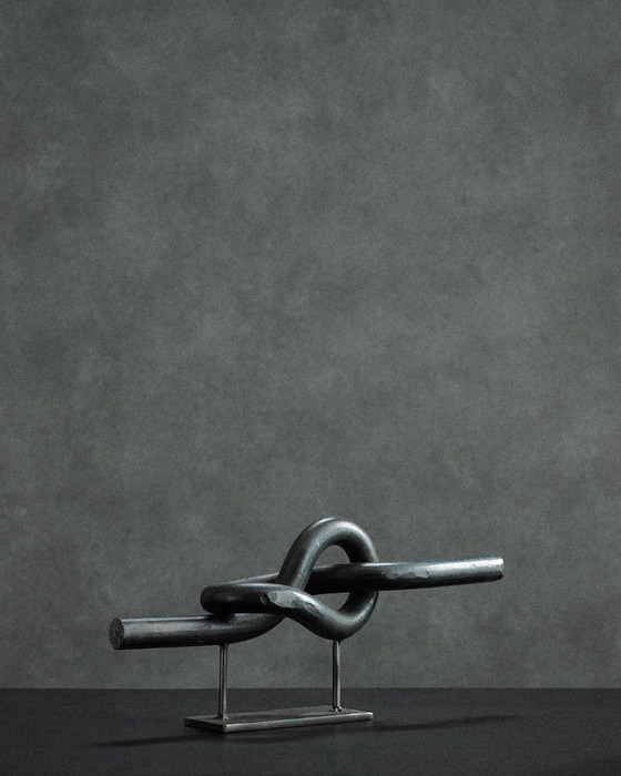 Image 1 of Big Knot van Carmen Lop