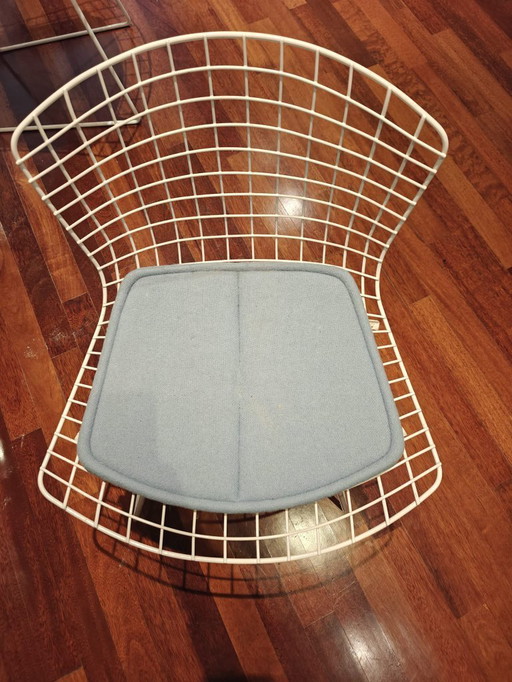 Chaises d'appoint Harry Bertoia 5x Knoll International