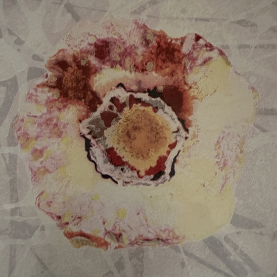 Image 1 of Zeefdruk Rob de Graaf - Chaos is een aparte werkelijkheid IV