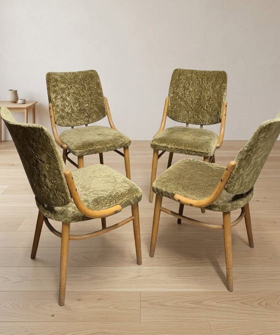 Image 1 of Bentwood Dining Chairs set of 4, Retro Beech Wood & Olive Velour Chair, TON 1960s–1970s, Czechoslovakia