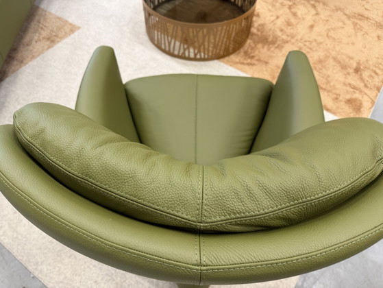 Leolux Excalibur Armchair Green Leather (photo 7 of 10)