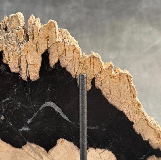 Image 1 of Madera fosilizada de Sooka, soporte hecho a medida (nuevo)