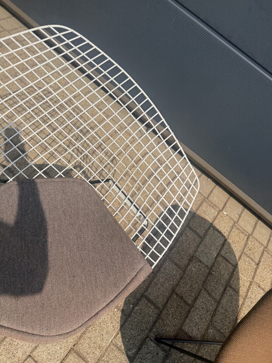 Originele Vintage Knoll Bertoia Diamand Chair TOPstaat!! – Fauteuils, Metal, Textile (photo 12 of 14)
