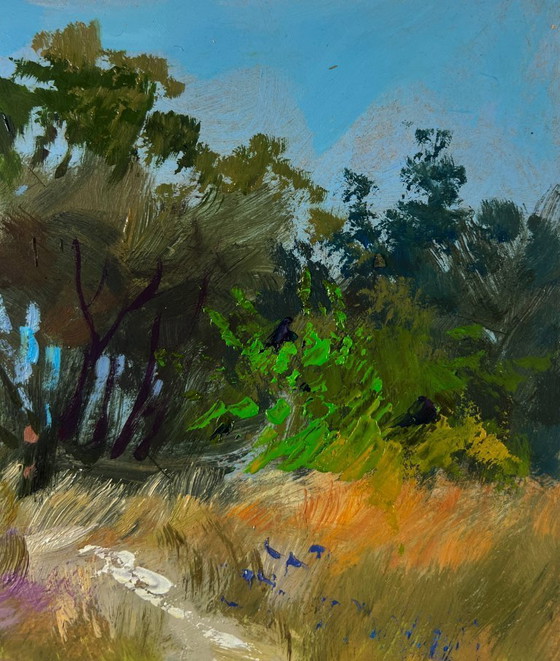 Image 1 of Original Oil Painting Summer Village Landscape Joyful walks through the field