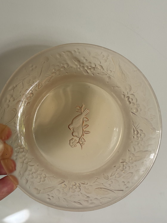 Jules Henri Vernon Plates 5x – Crockery, Glass (photo 6 of 9)