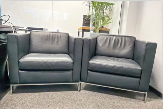 Poltrone, Pelle Nera, Walter Knoll, polished steel, Nero, Modern (foto 4 di 5)