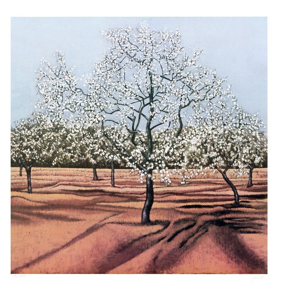 Image 1 of Taubert, Gerhard - Blossoming trees - Color lithograph