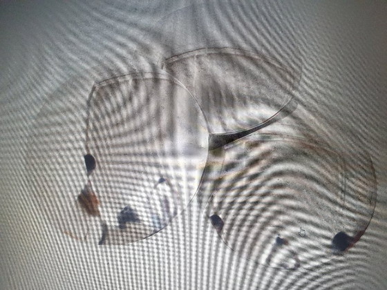 Image 1 of 2 Gioffredo Reggiani Wandlampen