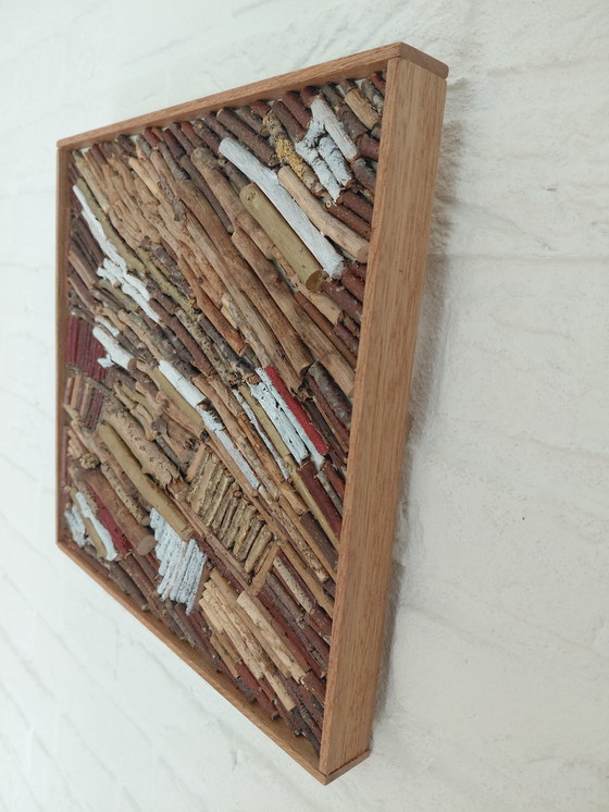 Image 1 of Il tesoro d'oro del bosco Galleria Suncorner