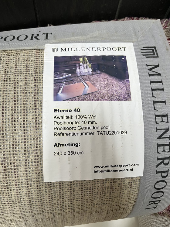 Image 1 of Millenerpoort Hochflor-Wollteppich