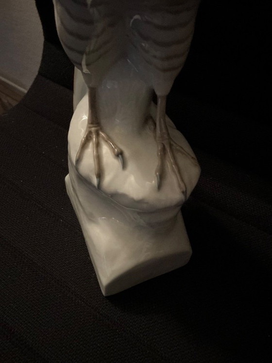 Image 1 of Very beautiful Falcon '