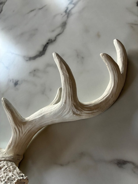 Image 1 of Cornes décoratives en résine