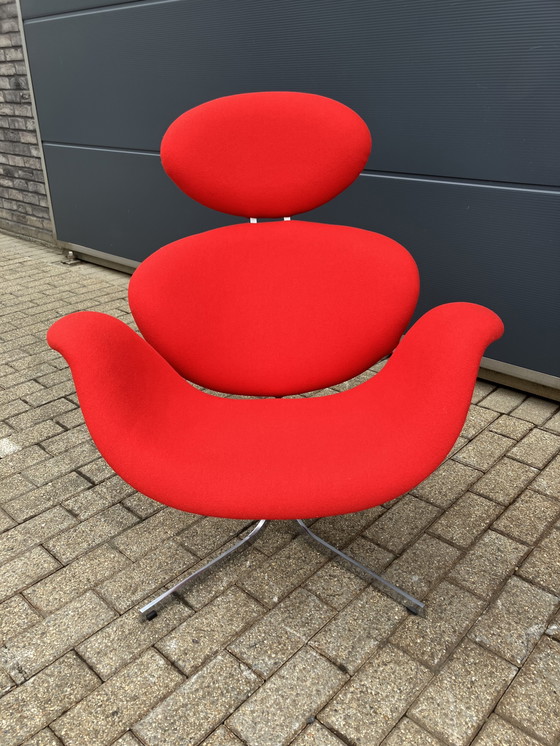 Image 1 of 2x Artifort Big Tulip 1e Editie 1958 Pierre Paulin Onberispelijke Nieuwstaat!!