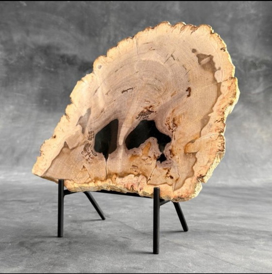 Image 1 of Magnifique pièce de bois pétrifié sur un support sur mesure BS-9