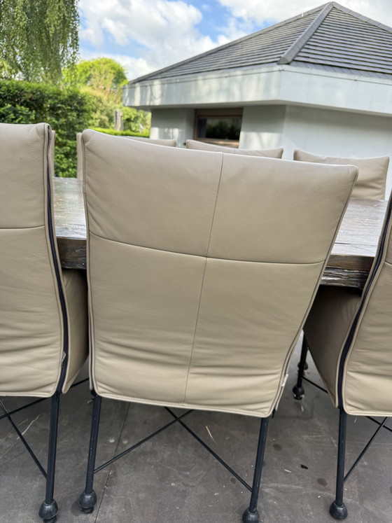 Montis Chaplin – Chaises de salle à manger, Leather, Metal (photo 2 of 6)