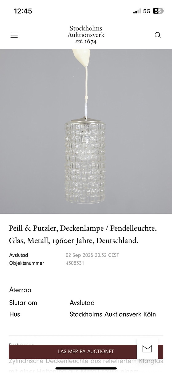 Image 1 of Lámpara colgante de Aloys Gangkofner para Peill & Putzler, Sevilla