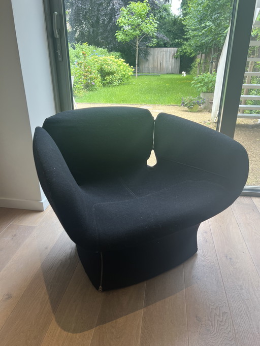 Fauteuil Moroso Bloomy