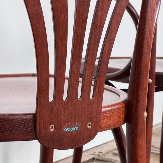 Image 1 of Paire de chaises hongroises Sellaton, années 2000 — Design contemporain