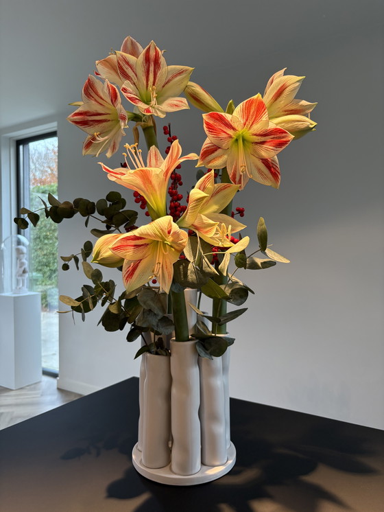 Image 1 of Vaso moderno in corallo bianco opaco, stile Japandi