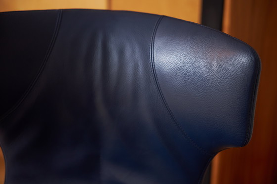 Image 1 of Leolux caruzzo