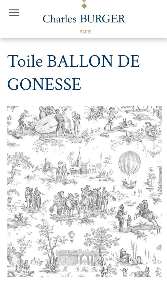 Image 1 of 2 Throwing pillows Toile de Jouy