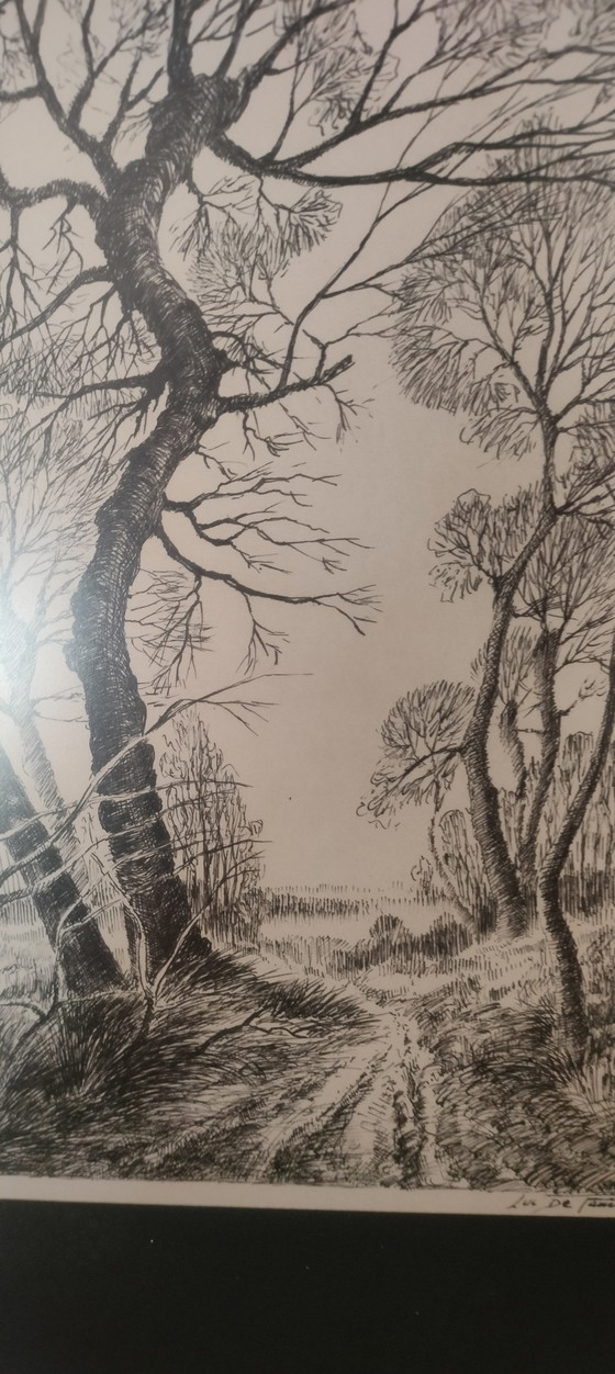 Image 1 of Disegno autunnale di Luc De Pauw