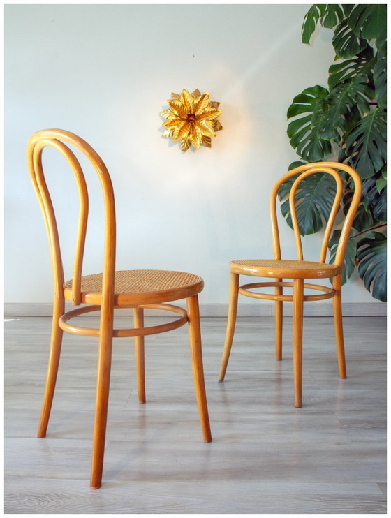 Image 1 of Coppia di sedie da bistrot anni '70 in legno curvato e vimini.