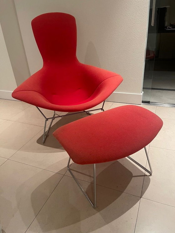 Bertoia Bird Chair – Knoll, Poltrone, Metallo, Tessile (photo 4 of 5)