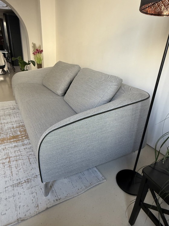 Image 1 of Leolux Elias armchair