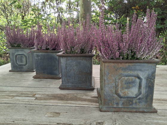 4 französische quadratische Pflanzkübel aus Gusseisen mit schöner Patina – Cast Iron (photo 6 of 6)