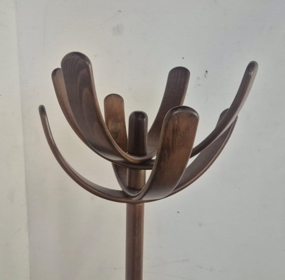 Image 1 of Cactus by Mauro Pasquinelli Coat rack