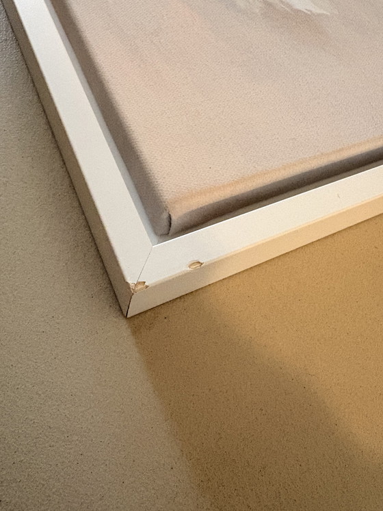 Image 1 of Print with frame - Lola Donoghue signed - Shimmer Shimmer