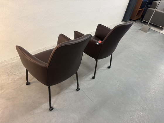 Image 1 of 2 Leolux Gyon Hochstühle Noli Ramo