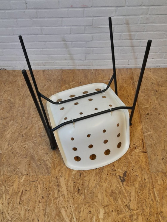 Image 1 of 4 Robin Day Polo chairs