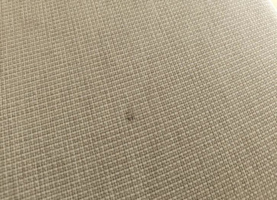 Image 1 of Borek lounge garden chair armchair hybrid