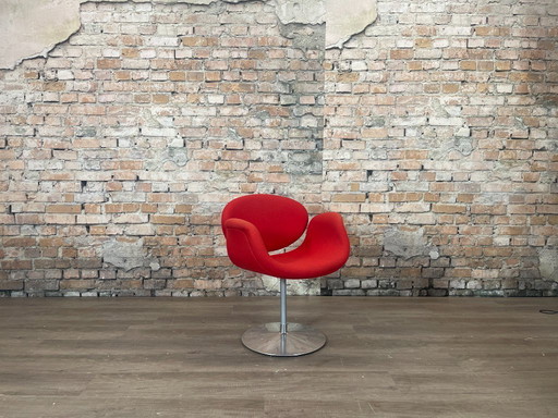 Artifort Little Tulip rosso