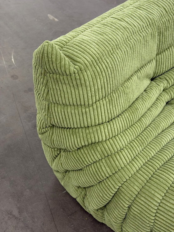 Image 1 of Linea Togo Rosette | Velluto a coste |