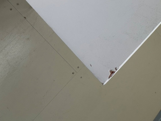 Image 1 of Pastoe Low Chair 2003 – design Maarten Van Severen