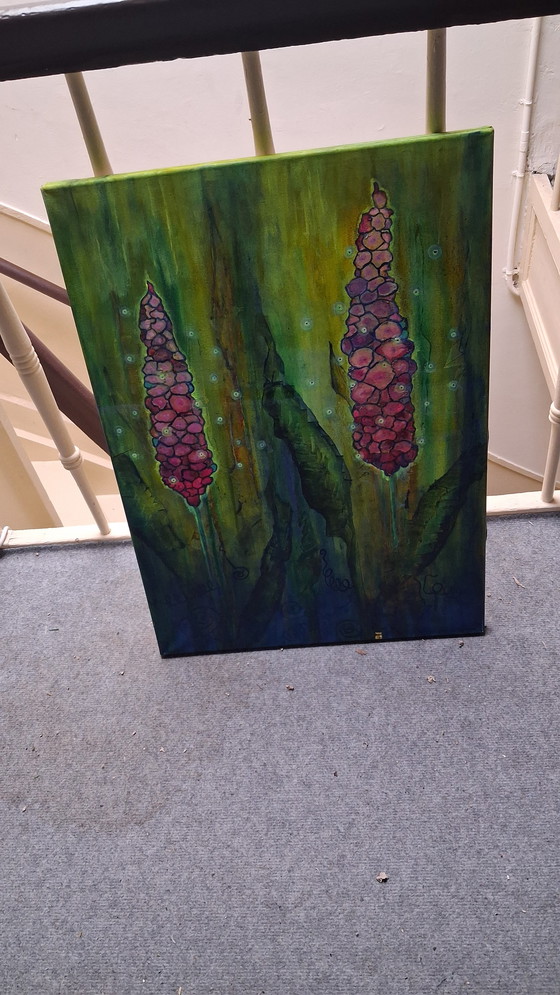 Image 1 of Luciferum mysteriosum, mysterious light bearer