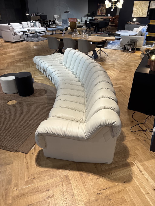 De Sede Snake 18 delen DS600