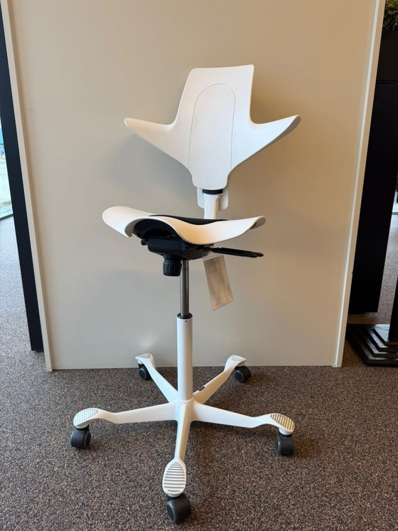 Image 1 of Viele HÅG Bürostühle