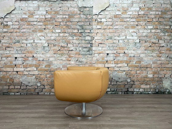 Image 1 of B&amp;B Italia Tulip Sessel Kamel