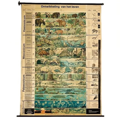 Carte scolaire XL d'époque Le développement de la vie 1969