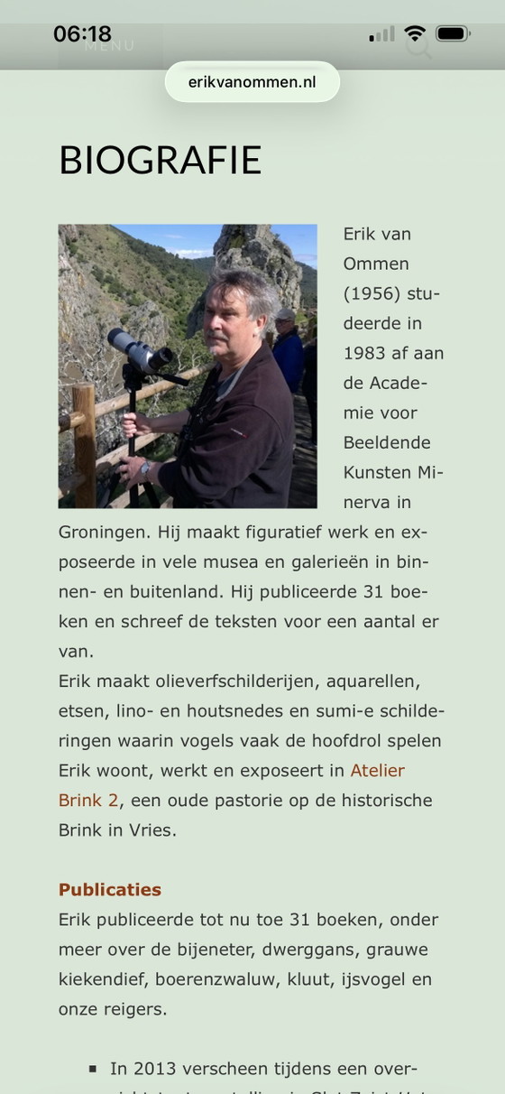 Image 1 of Kingfisher E van Ommen